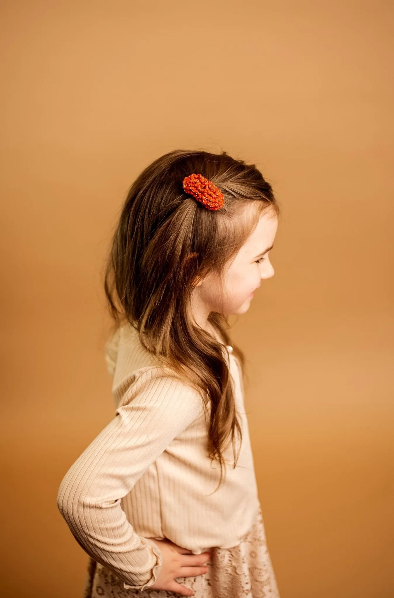 Minimal Hair Clips