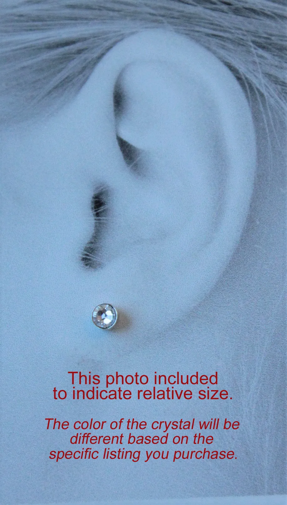 Siam Crystal Bezels (Pure Titanium Post Earrings)